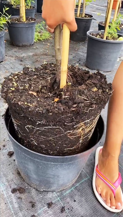 Мы гарантируем